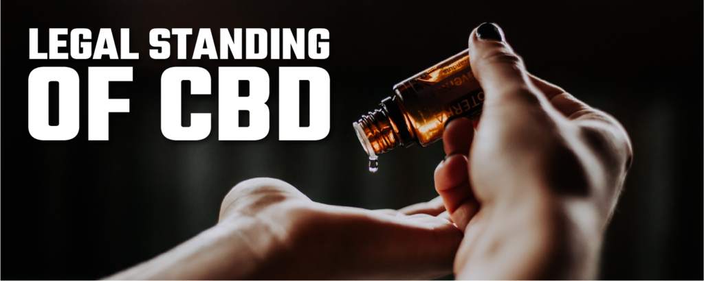 The problematic legal standing of CBD in the processing industry