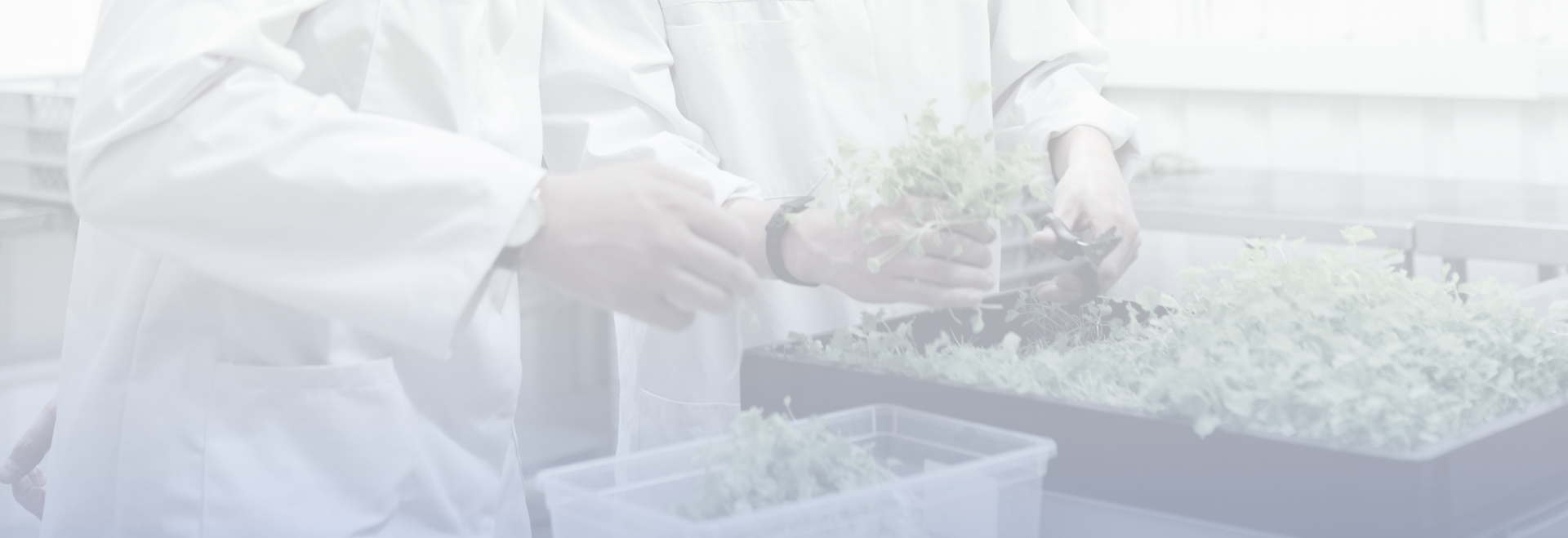 Background image of two scientists clipping a plant