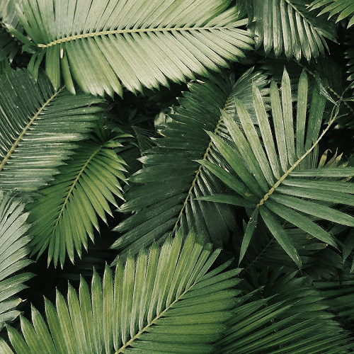 Background image of two scientists clipping a plant