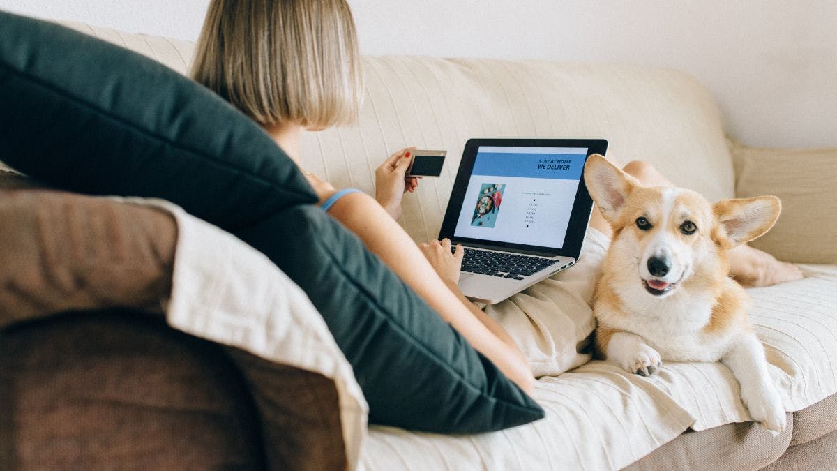 A person lying on a couch with a dog, laptop, and credit card.